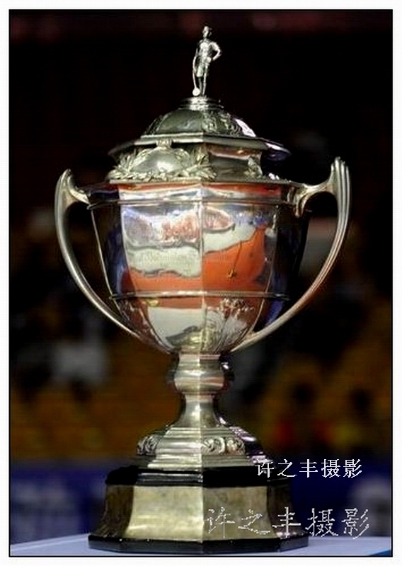 2014年汤姆斯杯羽毛球赛中国队能否再度夺冠