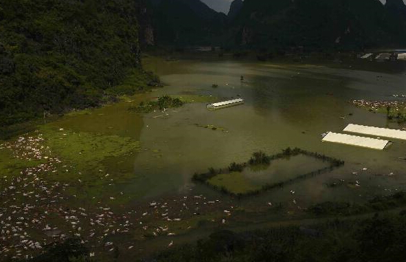 广西一养殖场被淹图片